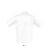 CHEMISE BRISTOL 16050